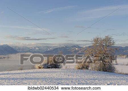 "Winter landscape, Lake Riegsee in front of Estergebirge mountains, Wetterstein range and Ammergau Alps with Ettaler Mandl peak, Murnau, Pfaffenwinkel region, Upper Bavaria, Germany, Europe" View Large Photo Image Picture - "Winter landscape, Lake Riegsee in front of Estergebirge mountains, Wetterstein range and Ammergau Alps with Ettaler Mandl peak, Murnau, Pfaffenwinkel region, Upper Bavaria, Germany, Europe". Fotosearch