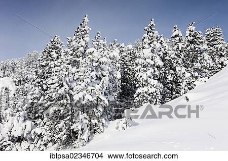 "Winter landscape, Ofen Pass, Swiss National Park, Grisons, Switzerland, Europe" View Large Photo Image Picture - "Winter landscape, Ofen Pass, Swiss National Park, Grisons, Switzerland, Europe". Fotosearch