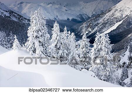 "Winter landscape, Ofen Pass, Swiss National Park, Grisons, Switzerland, Europe" View Large Photo Image Stock Photo - "Winter landscape, Ofen Pass, Swiss National Park, Grisons, Switzerland, Europe". Fotosearch
