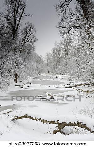 Stock Image - "Winter landscape on the Danube, Danube floodplains, Muhlleiten, Lower Austria, Austria, Europe". Fotosearch