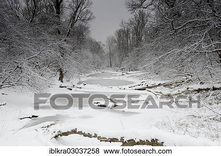 "Winter landscape on the Danube, Danube floodplains, Muhlleiten, Lower Austria, Austria, Europe" View Large Photo Image Stock Photo - "Winter landscape on the Danube, Danube floodplains, Muhlleiten, Lower Austria, Austria, Europe". Fotosearch