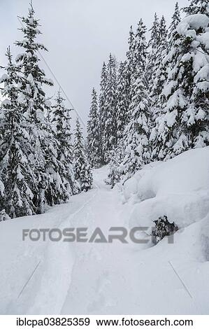 "Winter landscape with snowshoe tracks, Obernberg am Brenner, Tyrol, Austria, Europe" View Large Photo Image Stock Photo - "Winter landscape with snowshoe tracks, Obernberg am Brenner, Tyrol, Austria, Europe". Fotosearch