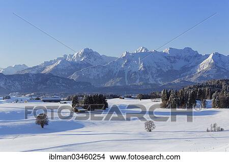 "Winter landscape with the Tannheim Mountains, Tannheimer Berge, Ussenburg, Rosshaupten, Ostallgau, Allgau, Schwabia, Bavaria, Germany, Europe" View Large Photo Image Picture - "Winter landscape with the Tannheim Mountains, Tannheimer Berge, Ussenburg, Rosshaupten, Ostallgau, Allgau, Schwabia, Bavaria, Germany, Europe". Fotosearch
