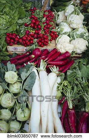 Stock Photo - "Winter vegetables for sale at the Freiburg farmer's market, Freiburg, Baden-Wurttemberg, Germany, Europe". Fotosearch
