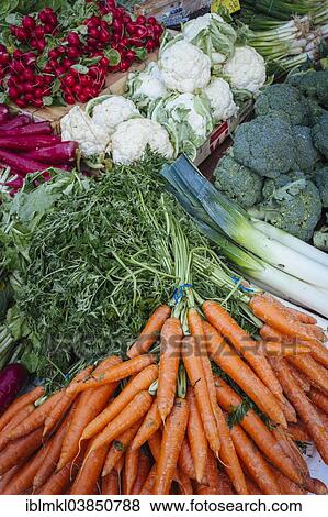 "Winter vegetables for sale at the Freiburg farmer's market, Freiburg, Baden-Wurttemberg, Germany, Europe" View Large Photo Image Stock Photo - "Winter vegetables for sale at the Freiburg farmer's market, Freiburg, Baden-Wurttemberg, Germany, Europe". Fotosearch