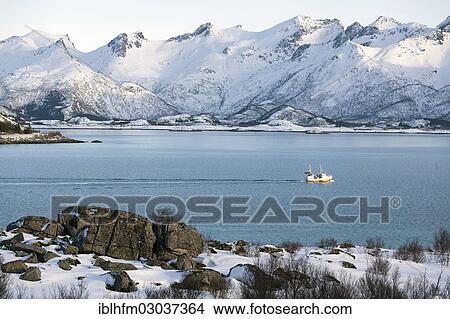 "Wintery fjord landscape with a fishing boat, Vestvagoy, Lofoten, Nordland, Northern Norway, Norway, Europe" View Large Photo Image Picture - "Wintery fjord landscape with a fishing boat, Vestvagoy, Lofoten, Nordland, Northern Norway, Norway, Europe". Fotosearch
