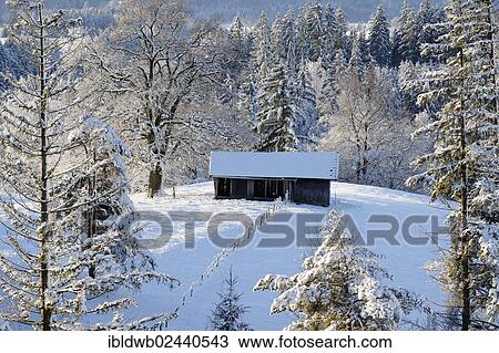 "Wintery snow-covered barn at the Aidlinger Hoehe, Murnau, Pfaffenwinkel region, Upper Bavaria, Bavaria, Germany, Europe" View Large Photo Image Stock Image - "Wintery snow-covered barn at the Aidlinger Hoehe, Murnau, Pfaffenwinkel region, Upper Bavaria, Bavaria, Germany, Europe". Fotosearch