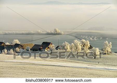 "Wintry landscape in hoarfrost with farm and fruit trees, Beinwil, Canton of Aargau, Switzerland, Europe" View Large Photo Image Stock Photo - "Wintry landscape in hoarfrost with farm and fruit trees, Beinwil, Canton of Aargau, Switzerland, Europe". Fotosearch