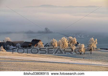 Stock Photography - "Wintry landscape in hoarfrost with farm and fruit trees, Beinwil, Canton of Aargau, Switzerland, Europe". Fotosearch
