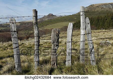 "Wire fence, Parc Naturel Regional des Volcans d'Auvergne, Regional Nature Park of the Volcanoes of Auvergne, Monts Dore massif, Puy de Dome, Auvergne, France, Europe" View Large Photo Image Picture - "Wire fence, Parc Naturel Regional des Volcans d'Auvergne, Regional Nature Park of the Volcanoes of Auvergne, Monts Dore massif, Puy de Dome, Auvergne, France, Europe". Fotosearch