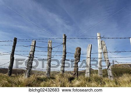 cross wire fence