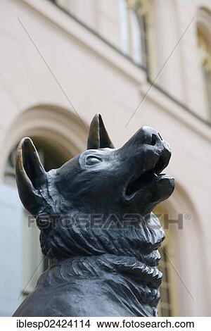 Wolfhound, sculpture in the entrance area, Jagdschloss Granitz hunting lodge, Ruegen Island, Baltic Sea, Mecklenburg-Western Pomerania, Germany, Europe View Large Photo Image Picture - Wolfhound, sculpture in the entrance area, Jagdschloss Granitz hunting lodge, Ruegen Island, Baltic Sea, Mecklenburg-Western Pomerania, Germany, Europe. Fotosearch