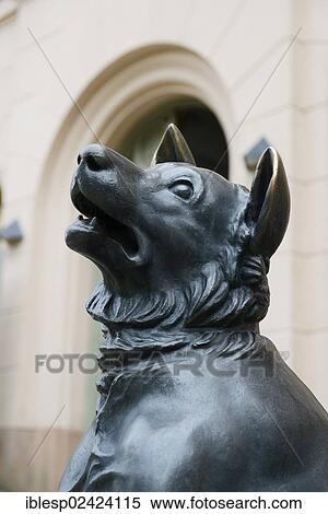 Wolfhound, sculpture in the entrance area, Jagdschloss Granitz hunting lodge, Ruegen Island, Mecklenburg-Western Pomerania, Germany, Europe View Large Photo Image Stock Photography - Wolfhound, sculpture in the entrance area, Jagdschloss Granitz hunting lodge, Ruegen Island, Mecklenburg-Western Pomerania, Germany, Europe. Fotosearch