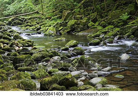 "Wolfsteiner Ohe river, Buchberger Leite geotope, Wildbachklamm, Bavarian Forest, Lower Bavaria, Bavaria, Germany, Europe" View Large Photo Image Stock Image - "Wolfsteiner Ohe river, Buchberger Leite geotope, Wildbachklamm, Bavarian Forest, Lower Bavaria, Bavaria, Germany, Europe". Fotosearch