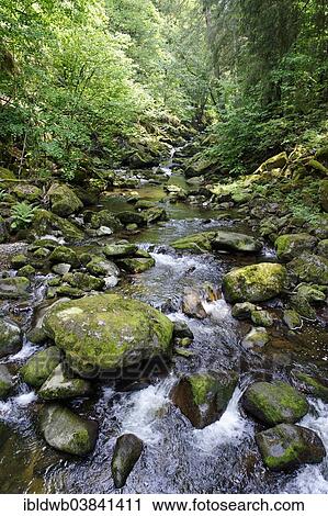 "Wolfsteiner Ohe river, Buchberger Leite geotope, Wildbachklamm, Bavarian Forest, Lower Bavaria, Bavaria, Germany, Europe" View Large Photo Image Stock Image - "Wolfsteiner Ohe river, Buchberger Leite geotope, Wildbachklamm, Bavarian Forest, Lower Bavaria, Bavaria, Germany, Europe". Fotosearch