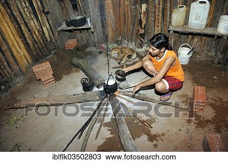 "Woman, 34, cooking Cassava or Manioc (Manihot esculenta) in a pot over an open fire in a simple kitchen, in the community of Mbya-Guarani Indians, Campito, Caaguazu Department, Paraguay, South America" View Large Photo Image Stock Image - "Woman, 34, cooking Cassava or Manioc (Manihot esculenta) in a pot over an open fire in a simple kitchen, in the community of Mbya-Guarani Indians, Campito, Caaguazu Department, Paraguay, South America". Fotosearch