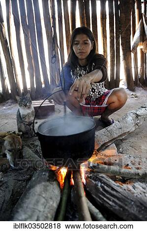 "Woman, 34, cooking Cassava or Manioc (Manihot esculenta) in a pot over an open fire in a simple kitchen, in the community of Mbya-Guarani Indians, Campito, Caaguazu Department, Paraguay, South America" View Large Photo Image Stock Photo - "Woman, 34, cooking Cassava or Manioc (Manihot esculenta) in a pot over an open fire in a simple kitchen, in the community of Mbya-Guarani Indians, Campito, Caaguazu Department, Paraguay, South America". Fotosearch