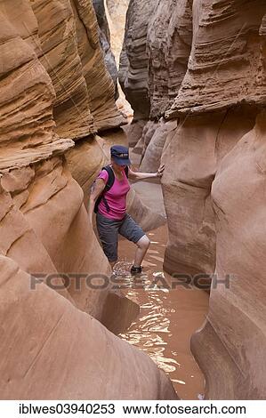 "Woman, 65, hiking in Little Wild Horse Canyon, Hanksville, Utah, United States, North America" View Large Photo Image Stock Image - "Woman, 65, hiking in Little Wild Horse Canyon, Hanksville, Utah, United States, North America". Fotosearch
