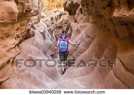 "Woman, 65, hiking in Little Wild Horse Canyon, Hanksville, Utah, United States, North America" View Large Photo Image Stock Photo - "Woman, 65, hiking in Little Wild Horse Canyon, Hanksville, Utah, United States, North America". Fotosearch