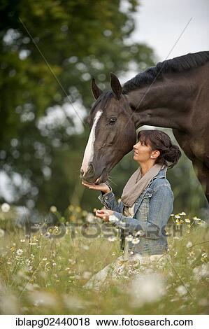 Woman beside a Hanoverian horse in a meadow View Large Photo Image Stock Photo - Woman beside a Hanoverian horse in a meadow. Fotosearch