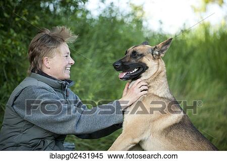 Woman caressing a Malinois or Belgian Shepherd Dog View Large Photo Image Stock Photography - Woman caressing a Malinois or Belgian Shepherd Dog. Fotosearch