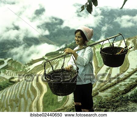 "Woman carrying baskets with a shoulder pole, rice terraces of Yuanyang, Yunnan, China, Asia" View Large Photo Image Stock Image - "Woman carrying baskets with a shoulder pole, rice terraces of Yuanyang, Yunnan, China, Asia". Fotosearch
