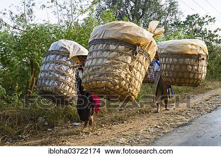 "Woman carrying their load along the roadside, Nyaung Shwe, Shan State, Myanmar, Burma, Asia" View Large Photo Image Picture - "Woman carrying their load along the roadside, Nyaung Shwe, Shan State, Myanmar, Burma, Asia". Fotosearch
