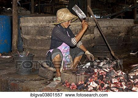 "Woman chopping fish at the fish market, Battambang, Cambodia, Asia" View Large Photo Image Stock Photo - "Woman chopping fish at the fish market, Battambang, Cambodia, Asia". Fotosearch