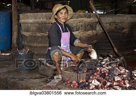 "Woman chopping fish at the fish market, Battambang, Cambodia, Asia" View Large Photo Image Stock Photograph - "Woman chopping fish at the fish market, Battambang, Cambodia, Asia". Fotosearch