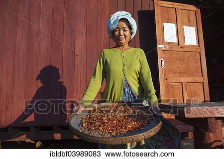 "Woman from the Lahu people, hill tribe, ethnic minority, preparing red chillies for drying, Lahu village, Mae Hong Song Province, Northern Thailand, Thailand, Asia" View Large Photo Image Stock Image - "Woman from the Lahu people, hill tribe, ethnic minority, preparing red chillies for drying, Lahu village, Mae Hong Song Province, Northern Thailand, Thailand, Asia". Fotosearch
