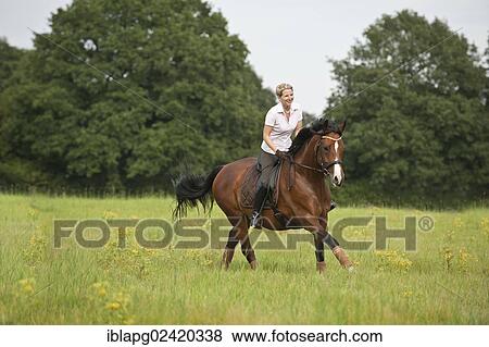 Woman galloping across a meadow on a Hanoverian horse View Large Photo Image Stock Photo - Woman galloping across a meadow on a Hanoverian horse. Fotosearch