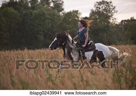 Woman gallopping on an Irish Tinker across a meadow View Large Photo Image Stock Image - Woman gallopping on an Irish Tinker across a meadow. Fotosearch