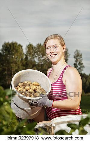 Woman harvesting potatoes View Large Photo Image Stock Photo - Woman harvesting potatoes. Fotosearch