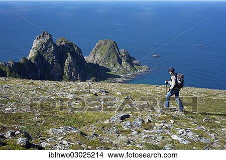 Picture - "Woman hiking at the coastline, rocks in the Atlantic at back, Insel Andoya/ Atlantikkuste, Inselgruppe Vesteralen, Nordland, Northern Norway, Norway, Europe". Fotosearch