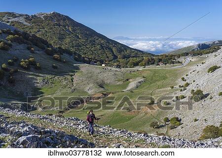 "Woman hiking in the Parco delle Madonie, Madonie Regional Natural Park, geology nature trail in the karst depression of Battaglietta-Polje, near Petralia Sottana, Sicily, Italy, Europe" View Large Photo Image Stock Image - "Woman hiking in the Parco delle Madonie, Madonie Regional Natural Park, geology nature trail in the karst depression of Battaglietta-Polje, near Petralia Sottana, Sicily, Italy, Europe". Fotosearch
