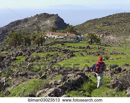 "Woman hiking on the Lomo de Sabinilla, Lomo de Sabinilla, Alajero, La Gomera, Canary Islands, Spain, Europe" View Large Photo Image Stock Image - "Woman hiking on the Lomo de Sabinilla, Lomo de Sabinilla, Alajero, La Gomera, Canary Islands, Spain, Europe". Fotosearch