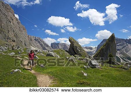 "Woman hiking on the Malga Alm alpine pasture below the Odle Mountains, Seceda Mountain, Grodnertal, Dolomiten, South Tyrol province, Trentino-Alto Adige, Italy, Europe" View Large Photo Image Picture - "Woman hiking on the Malga Alm alpine pasture below the Odle Mountains, Seceda Mountain, Grodnertal, Dolomiten, South Tyrol province, Trentino-Alto Adige, Italy, Europe". Fotosearch