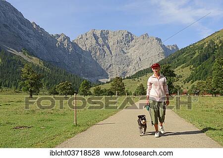 "Woman hiking with a Miniature Schnauzer, Engalm, in fornt of the Karwendel Mountains, Grosser Ahornboden, Alpenpark Karwendel, Engtal, Tyrol, Austria, Europe" View Large Photo Image Stock Photo - "Woman hiking with a Miniature Schnauzer, Engalm, in fornt of the Karwendel Mountains, Grosser Ahornboden, Alpenpark Karwendel, Engtal, Tyrol, Austria, Europe". Fotosearch
