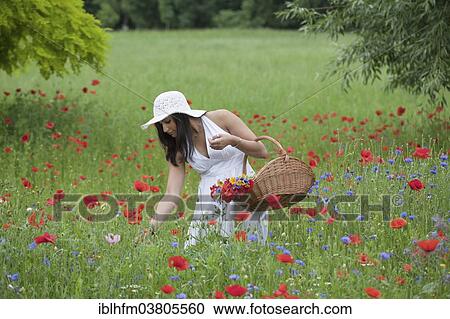 "Woman in white summer dress picking flowers, Lower Saxony, Germany, Europe" View Large Photo Image Stock Image - "Woman in white summer dress picking flowers, Lower Saxony, Germany, Europe". Fotosearch