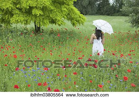 "Woman in white summer dress standing on a meadow with blossoming poppies (Papaver rhoeas), Lower Saxony, Germany, Europe" View Large Photo Image Picture - "Woman in white summer dress standing on a meadow with blossoming poppies (Papaver rhoeas), Lower Saxony, Germany, Europe". Fotosearch