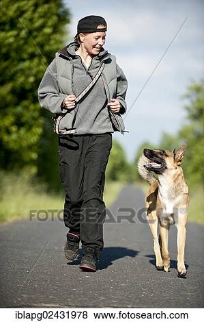 Woman jogging with a Malinois or Belgian Shepherd Dog View Large Photo Image Stock Photo - Woman jogging with a Malinois or Belgian Shepherd Dog. Fotosearch
