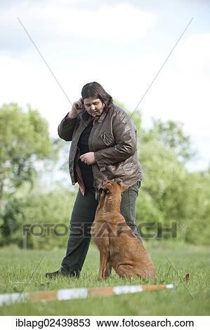 Woman longeing a mixed-breed dog View Large Photo Image Stock Image - Woman longeing a mixed-breed dog. Fotosearch