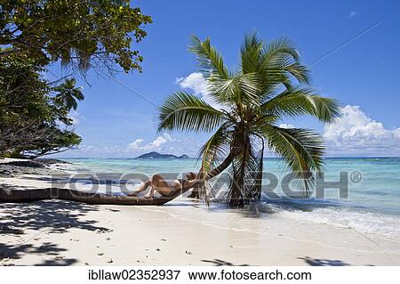 Stock Photo - "Woman lying on a coconut tree, Anse La Passe, Silhouette Island, Seychelles, Africa, Indian Ocean, Africa". Fotosearch