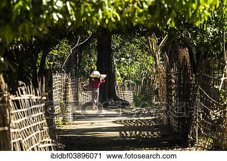 "Woman of the Chin ethnic group, ethnic minority, carrying a load on her head, Rakhine State, Myanmar, Asia" View Large Photo Image Stock Image - "Woman of the Chin ethnic group, ethnic minority, carrying a load on her head, Rakhine State, Myanmar, Asia". Fotosearch