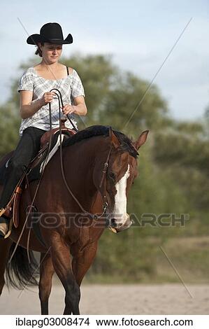 "Woman on a Quarter Horse, Germany, Europe" View Large Photo Image Picture - "Woman on a Quarter Horse, Germany, Europe". Fotosearch