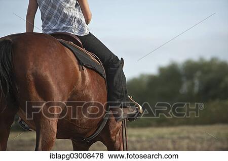 "Woman on a Quarter Horse, western-style riding, Germany, Europe" View Large Photo Image Stock Photo - "Woman on a Quarter Horse, western-style riding, Germany, Europe". Fotosearch