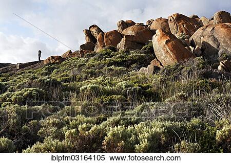 "Woman overlooking landscape from granite stone formations, Augusta, Western Australia" View Large Photo Image Stock Photography - "Woman overlooking landscape from granite stone formations, Augusta, Western Australia". Fotosearch