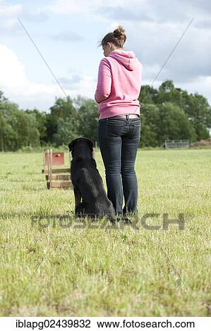 Woman playing flyball with a mixed-breed dog View Large Photo Image Stock Image - Woman playing flyball with a mixed-breed dog. Fotosearch