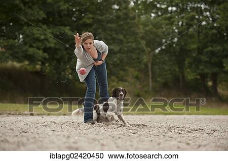 Woman playing with a Small Munsterlander View Large Photo Image Stock Image - Woman playing with a Small Munsterlander. Fotosearch