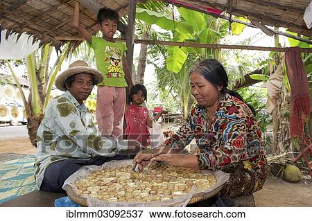 "Woman pouring hot palm sugar in forms made of bamboo, Siem Reap, Siem Reap, Siem Reap Province, Cambodia, Asia" View Large Photo Image Stock Photo - "Woman pouring hot palm sugar in forms made of bamboo, Siem Reap, Siem Reap, Siem Reap Province, Cambodia, Asia". Fotosearch